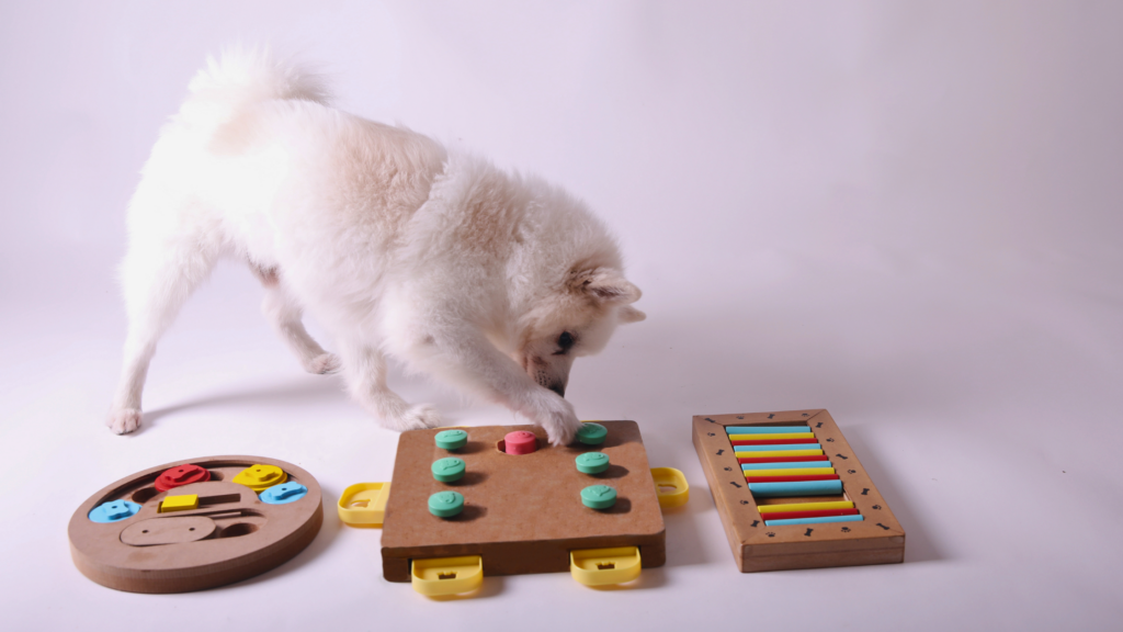 Brinquedos Interativos para Cachorro
